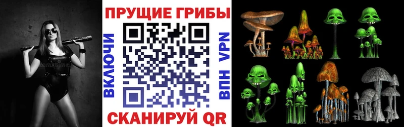 Галлюциногенные грибы GOLDEN TEACHER  наркошоп  Железногорск 